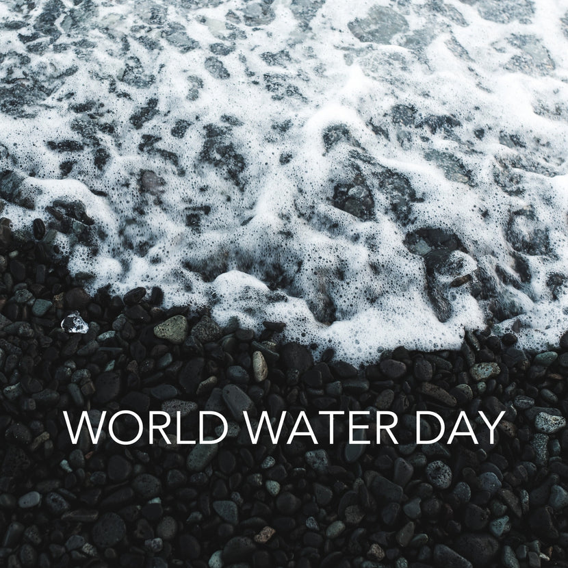 Wave breaking on a rocky shore with the text “World Water Day”