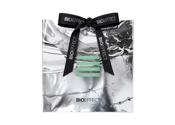 Holiday Gift Bag